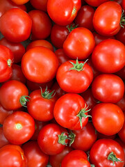 Close-up of Fresh Red Tomatoes