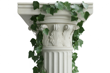 Elegant classical column detail adorned with green ivy leaves on a transparent background