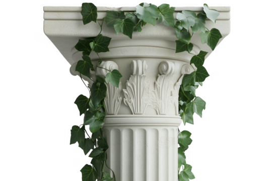 Elegant classical column detail adorned with green ivy leaves on a transparent background