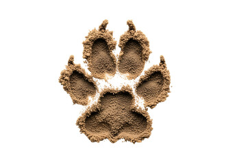 Obraz premium A light beige animal footprint formed from small particles is prominently displayed against a pure black background.