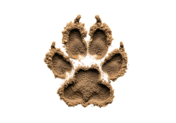 A light beige animal footprint formed from small particles is prominently displayed against a pure black background.