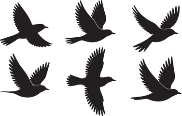 Collection of bird silhouettes in various flying poses