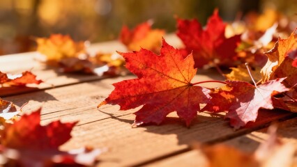 Vibrant autumn leaves, displaying a spectrum of reds and oranges, rest on a rustic wooden surface, bathed in warm sunlight.