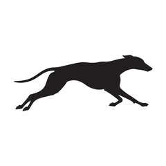 Dog, Dogs, Dog isolated, Dog and cat, Happy dog, Dog icon, Dog silhouette