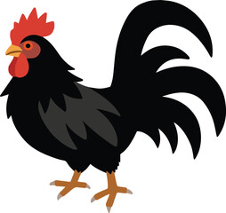 Ayam cemani black chicken vector illustration art