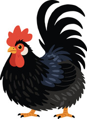 Ayam cemani black chicken vector illustration art