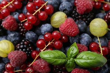 Different ripe juicy berries and basil as background, closeup