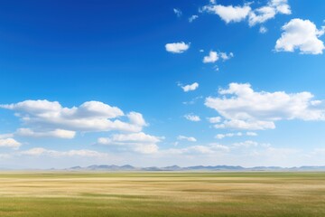 Fototapeta premium Expansive golden grassland under a vast blue sky with scattered clouds meadow field