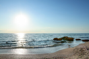 Beautiful wavy sea, seagulls, stones and sandy beach