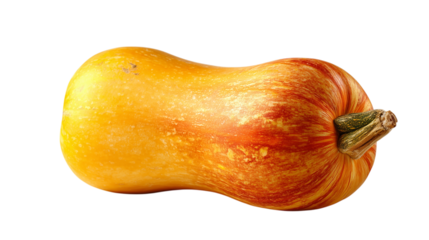 A large yellow squash with a brown stem