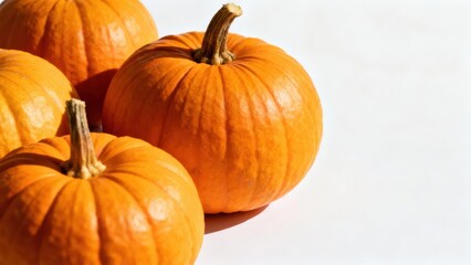 view of several bright orange pumpkins arranged against a plain white background.