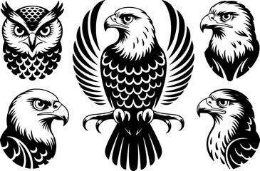 Owls and Eagles Silhouette Decorative Illustration