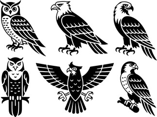 Owls and Eagles Silhouette Decorative Illustration