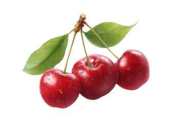 Obraz premium Fresh red cherries with dew and green leaves on black background, cut out