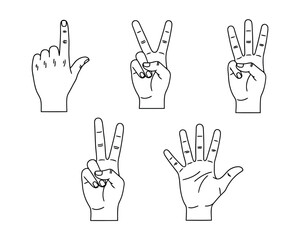 Obraz premium Hands counting from one to five demonstrating numerical sequence and basic mathematical concepts with fingers