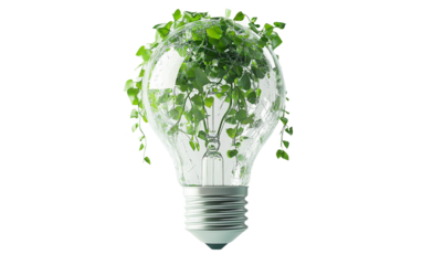 Floating cracked light bulb growing wild green plants inside symbolizing sustainability creativity and surreal artistic imagination isolated on transparent background PNG