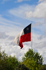 Beautiful Chilean flag waving in the wind
