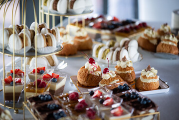 A variety of fresh dishes displayed on a buffet table at a catered event, featuring salads, appetizers, and hot meals arranged in a professional food service setup