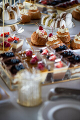 A variety of fresh dishes displayed on a buffet table at a catered event, featuring salads, appetizers, and hot meals arranged in a professional food service setup