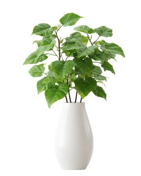 A white vase with a green plant in it