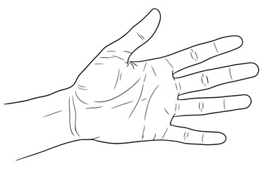 Vector art of a bright yellow lightbulb with a filament glows on a, symbolizing a new idea, innovation, and inspiration the bulb is connected to a line