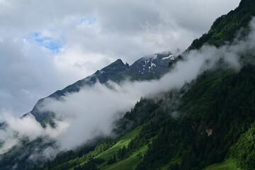Alpine Berge mit Wald im Nebel