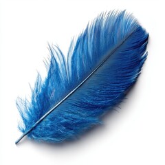 Close-up of a Vibrant Blue Feather , PNG isolated cut out image