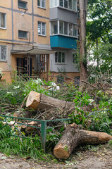Urban Landscape with Fallen Trees and Building Exterior After Storm