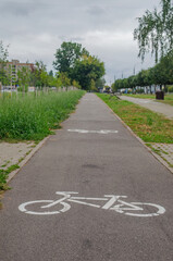 Spacious Urban Bicycle Path Surrounded by Lush Greenery