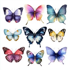 Watercolor Butterflies - A Colorful Collection , PNG isolated cut out image