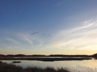 The scenic beauty of the wetlands, during the autumn season. Bombay Hook National Wildlife Refuge, Kent County Delaware. Natural reflections on calm water.
