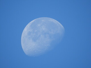 Daytime moon, visible in the sky above Kent County, Delaware. Moon phase, waning gibbous.