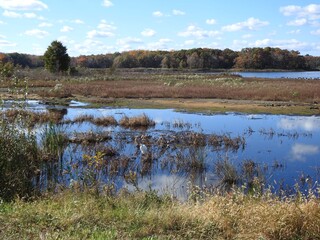 The scenic beauty of the wetlands, during the autumn season. Bombay Hook National Wildlife Refuge, Kent County Delaware. Natural reflections on calm water.