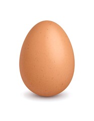 A brown egg against a white background.  Realistic illustration