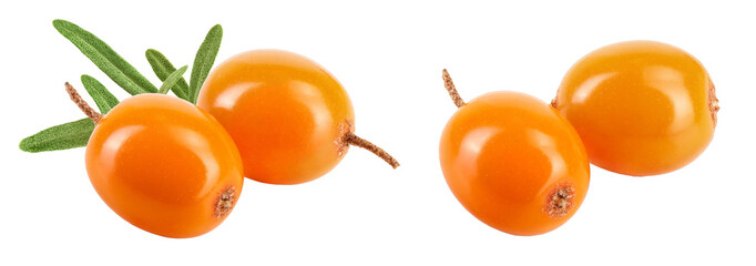 Sea buckthorn. Fresh ripe berry isolated on white background macro