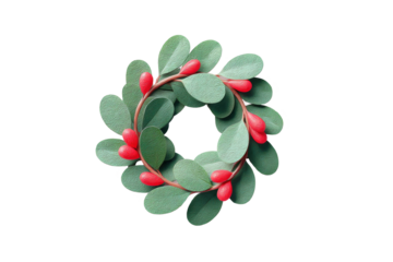 Abstract green leaf and red bud wreath against black background, cut out