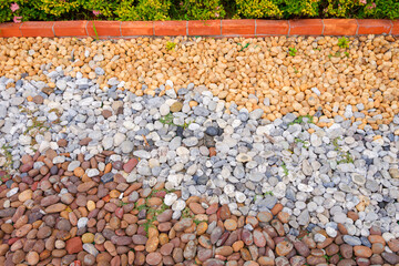 Pebble stone garden floor decoration background, Multicolor river pebblestone on the ground with green hedge in front yard area at home, Directly above view