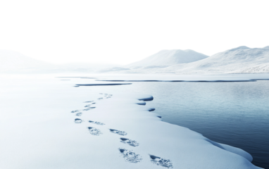 Frozen lake with animal footprints in snow portraying winter wilderness beauty tranquility and natural wonder isolated on transparent background PNG