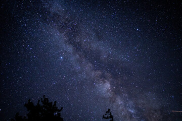 Fototapeta premium starry night sky