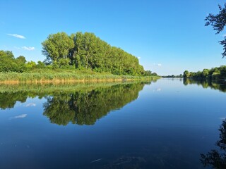 Forest and its Reflection in the Water of a Canal in the Gornje Podunavlje Nature Reserve in Serbia