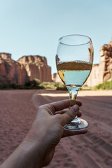 Smiling woman holding glass of white wine in desert canyon