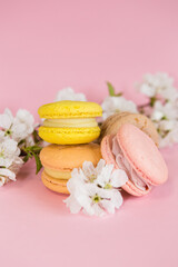 Yellow and pink macaroons on a pink background with branches of snow-white apple blossom