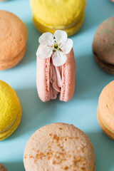 French macaroons desserts with white flowers on a blue background with delicate lighting