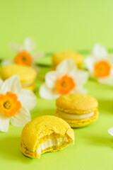yellow French macaroons on a green background, with yellow daffodil flowers in a soft light