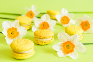 yellow French macaroons on a green background, with yellow daffodil flowers in a soft light