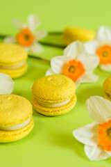 yellow French macaroons on a green background, with yellow daffodil flowers in a soft light