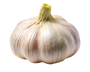 Whole Garlic Bulb with Pinkish Hues and Greenish Stem Isolated food ingredient isolated on a transparent background
