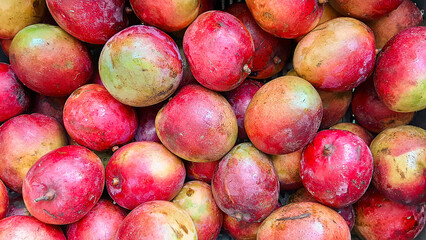 Colorful Ripe Red Mangoes in Tropical Fruit Market