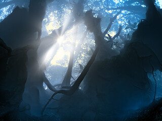Mystery forest with mist and roots, chiaroscuro light and hidden world atmosphere