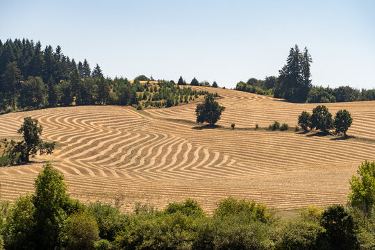 Farms in Oregon, Farmland in Oregon, Hay farm in Oregon
